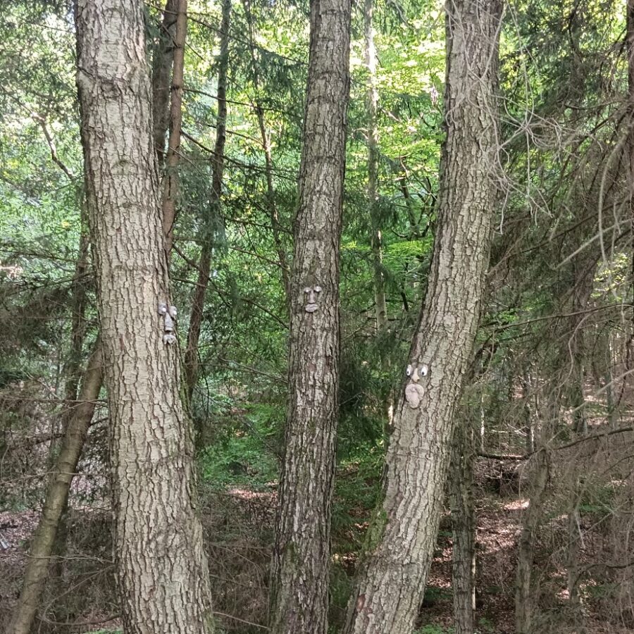 5 (2)